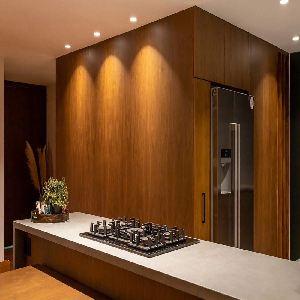 Shaze Kitchens Projects The Open Concept 6